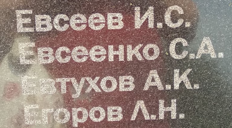 evseenko s a