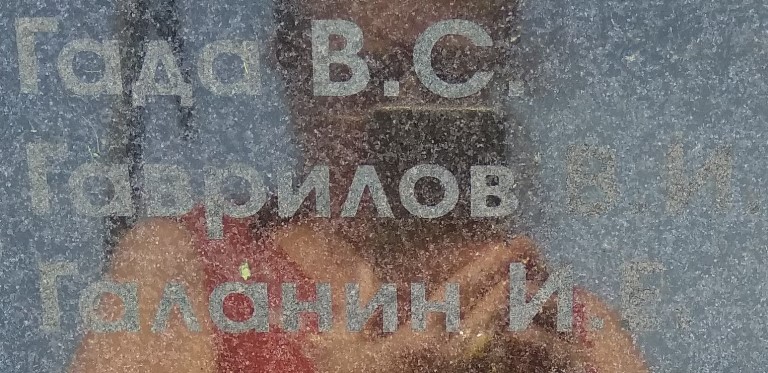 gavrilov v a