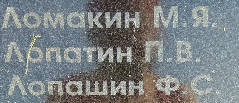lopatin p v