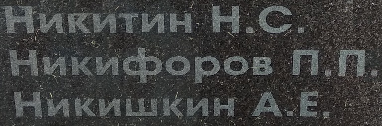nikitin n s