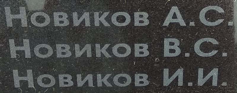 novikov a s