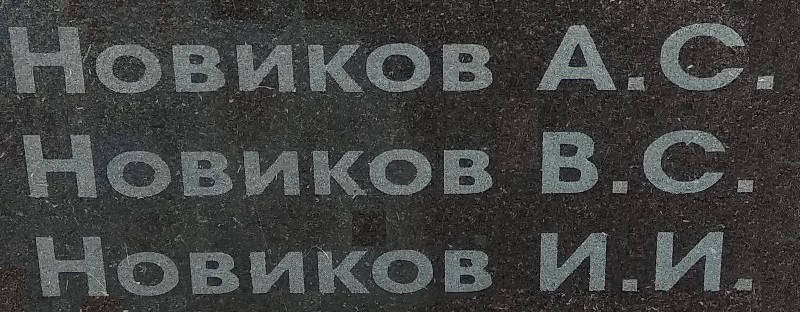 novikov v s 1