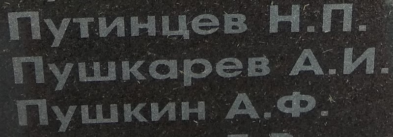 pushkarev a i