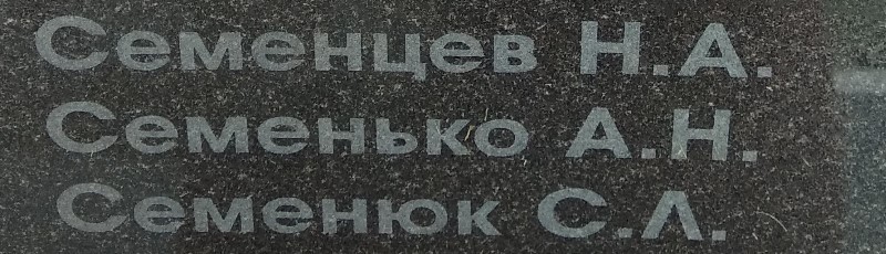semenko a n