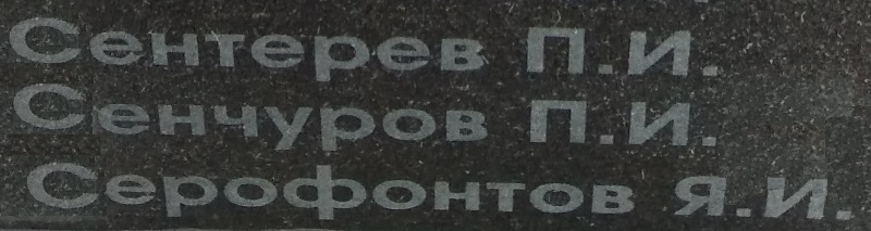 senchurov p i