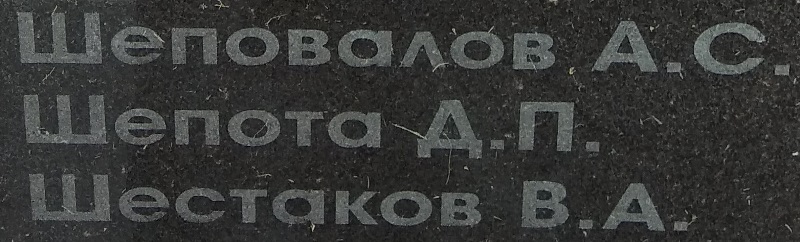 shepota d p 1