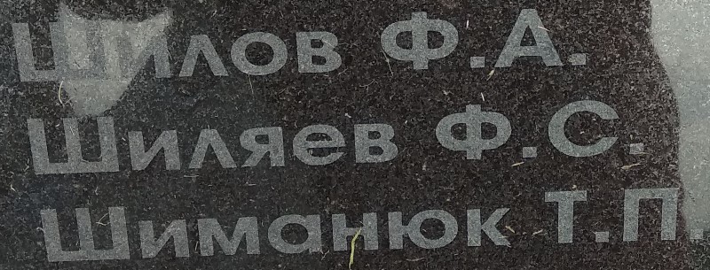 shilyaev f s