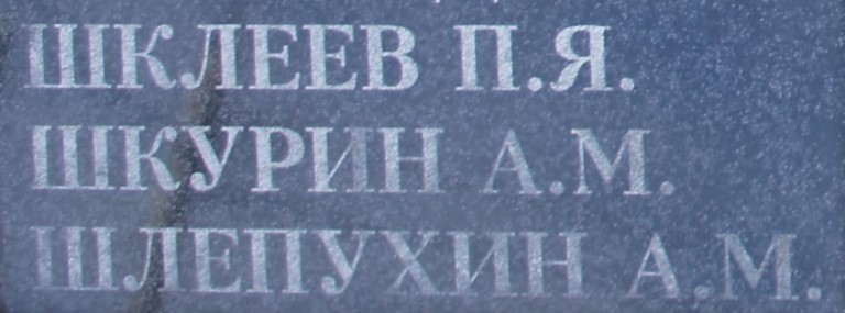 shkurin a m
