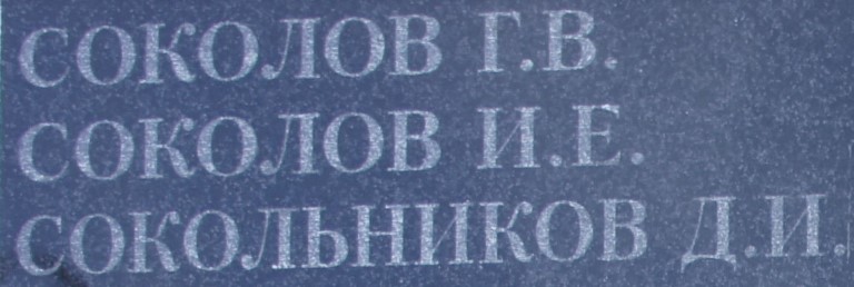 sokolov g v