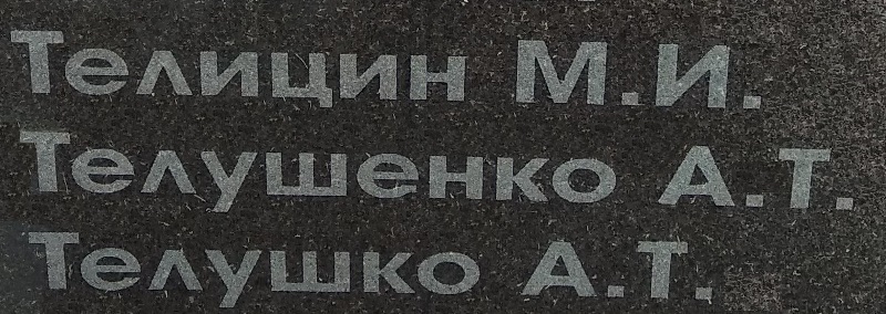 telushenko a t