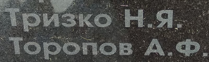 toropov a f