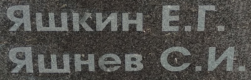 yashnev s i