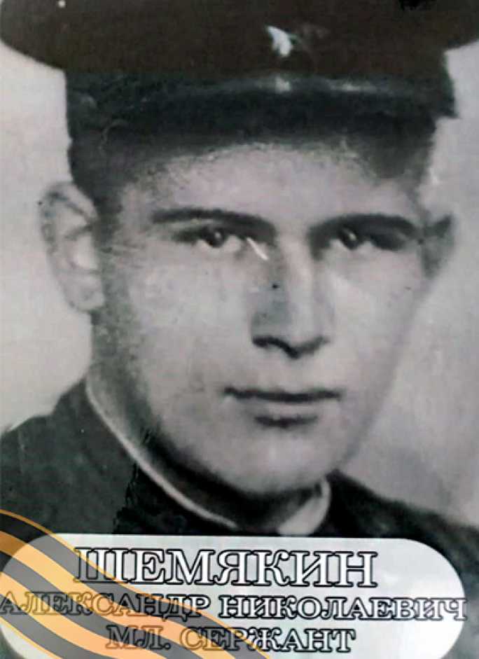 ШЕМЯКИН Александр Николаевич